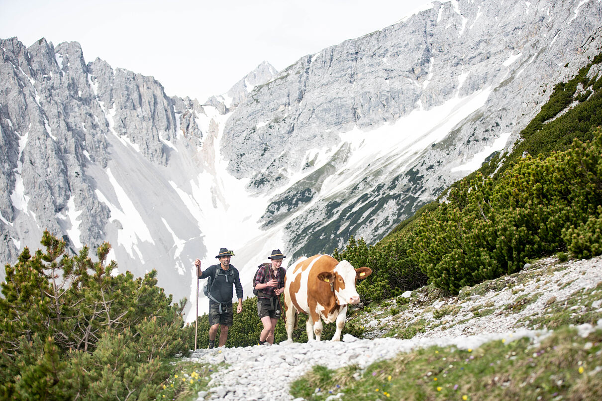 Heimatleuchten berichtete am 13. September über den Wandel im Karwendel